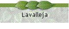 Lavalleja