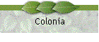 Colonia